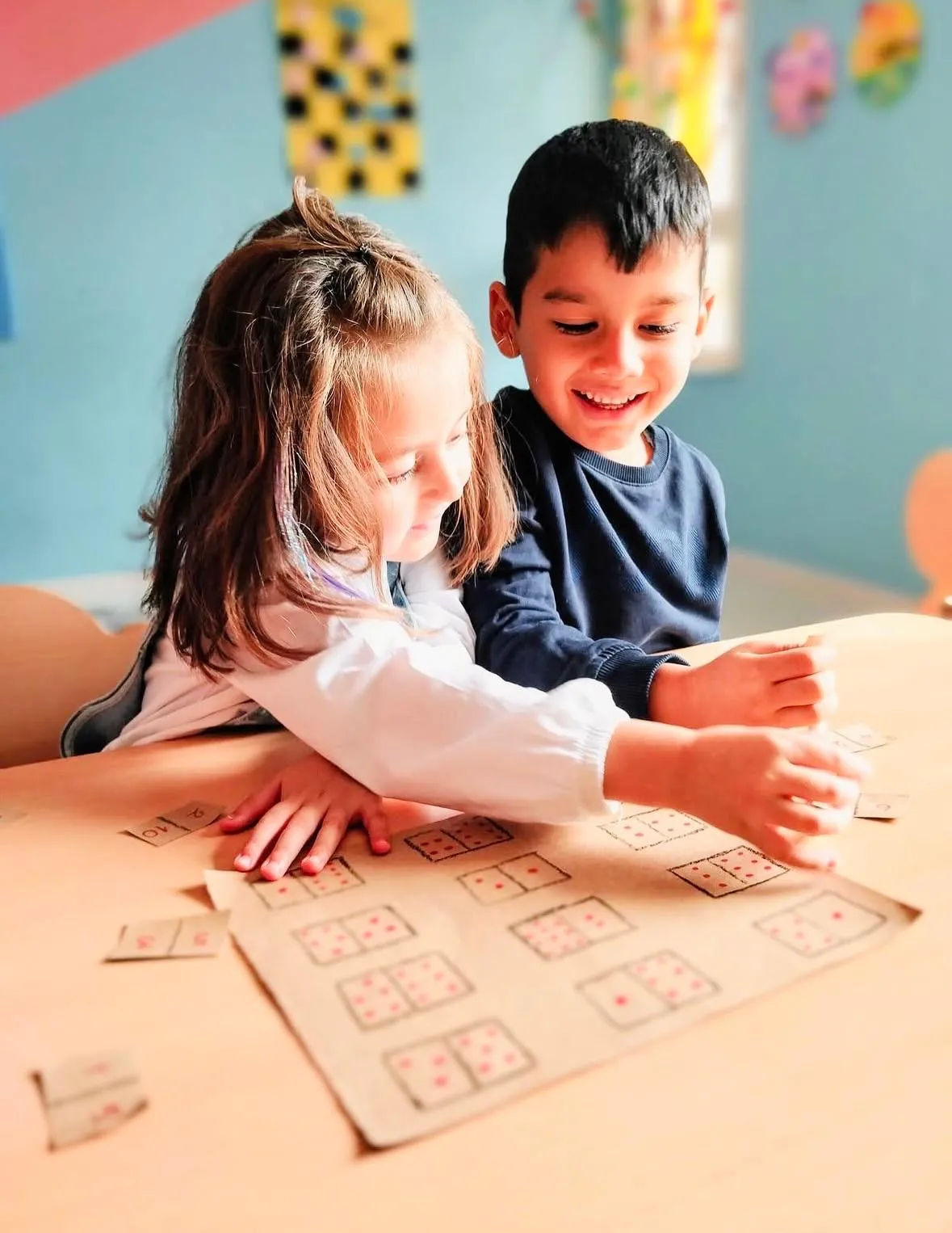 Bilişsel çalışmalar